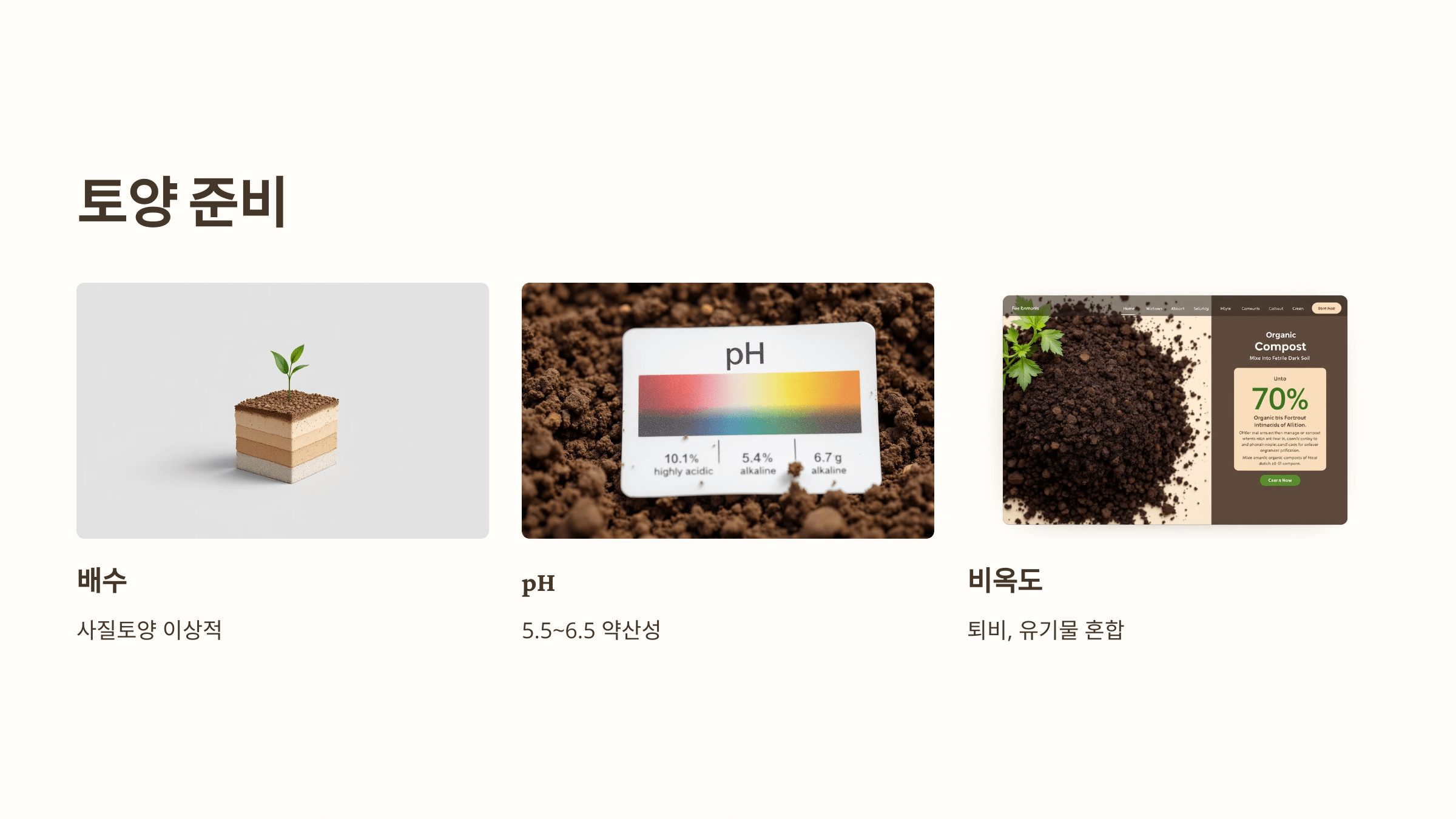 더덕 사진입니다.