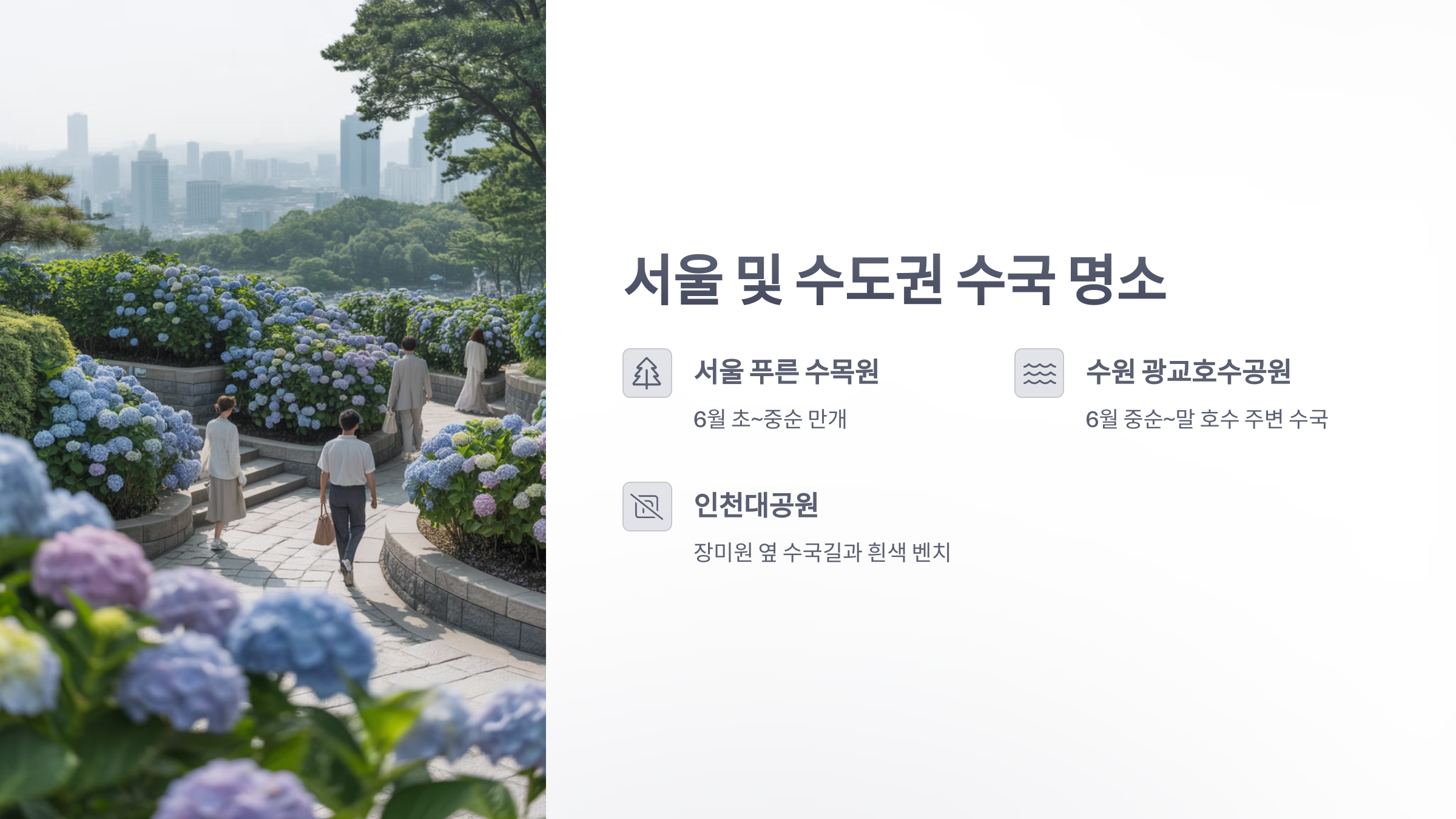 참조-수국-명소-2