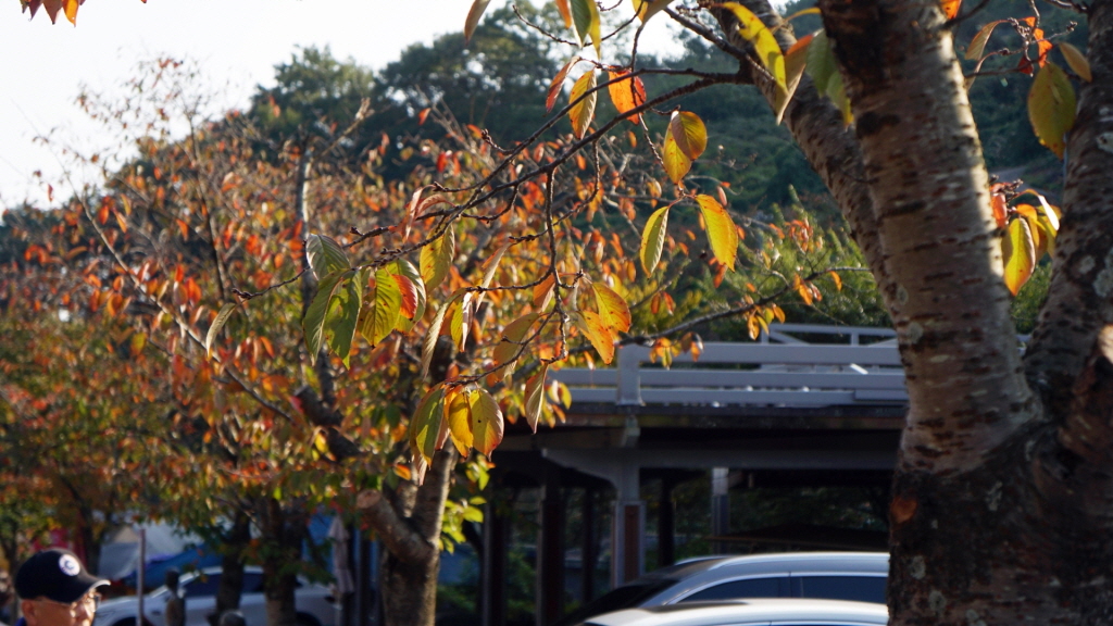 img.jpg?credential=yqXZFxpELC7KVnFOS48yl