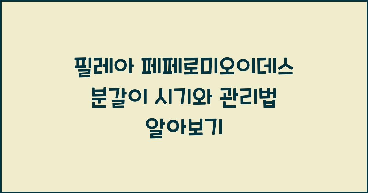 필레아 페페로미오이데스 분갈이 시기