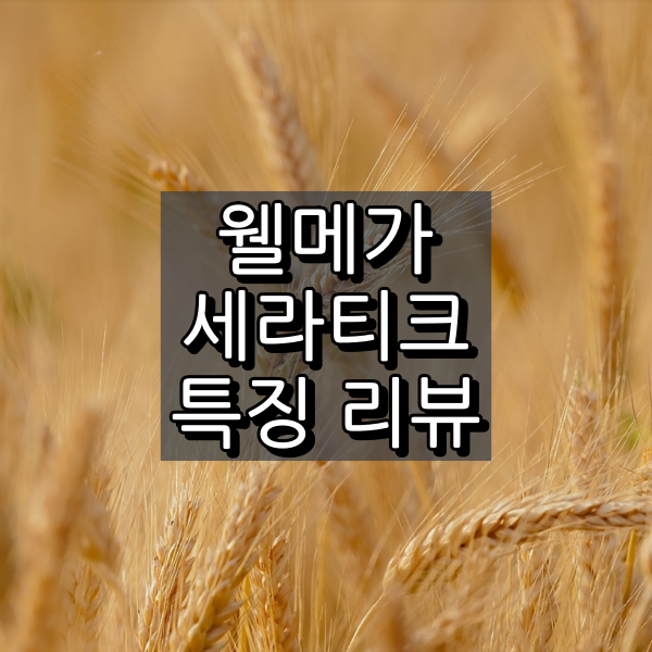 웰메가 세라티크 대표 이미지