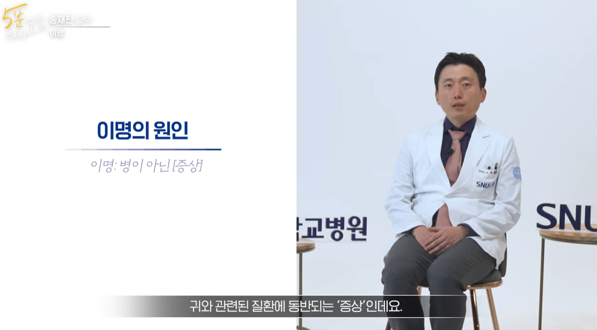 이명의 원인