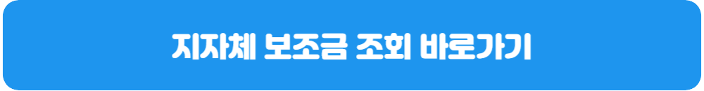 지자체-보조금-조회