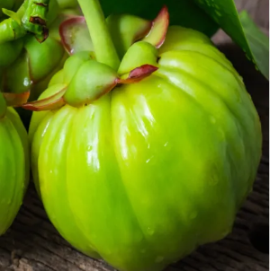 파란통 다이어트