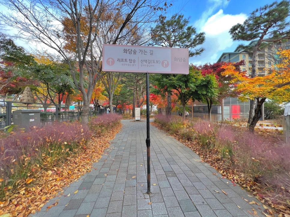 곤지암-화담숲-예약-전쟁-승리-2025년-최신-정보-총정리