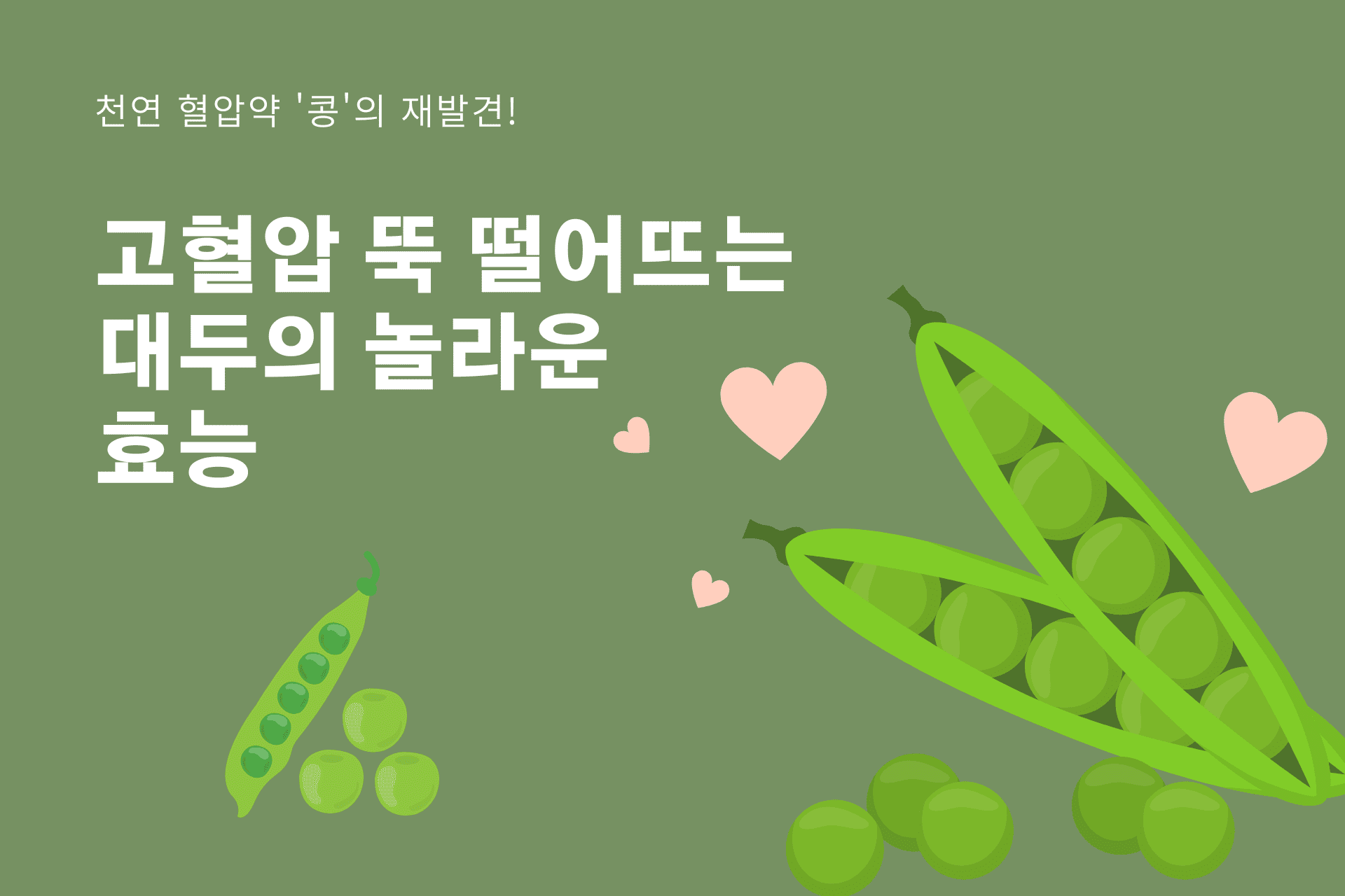 천연 혈압약 '콩'의 재발견! 고혈압 뚝 떨어뜨리는 대두의 놀라운 효능