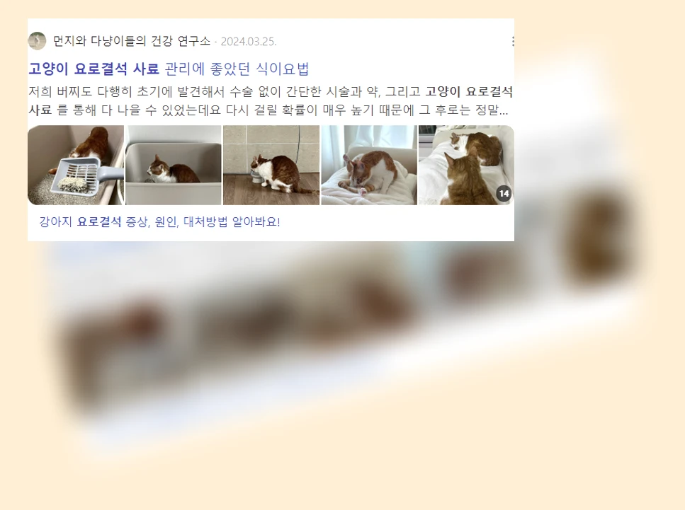 고양이 요로결석 사료_2_subsection