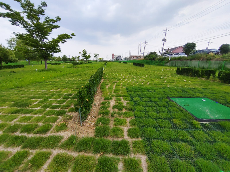 강원도 주문진파크골프장 (신리파크골프장)