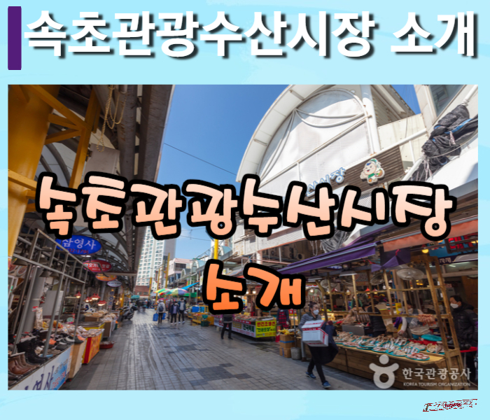 속초관광수산시장-썸네일