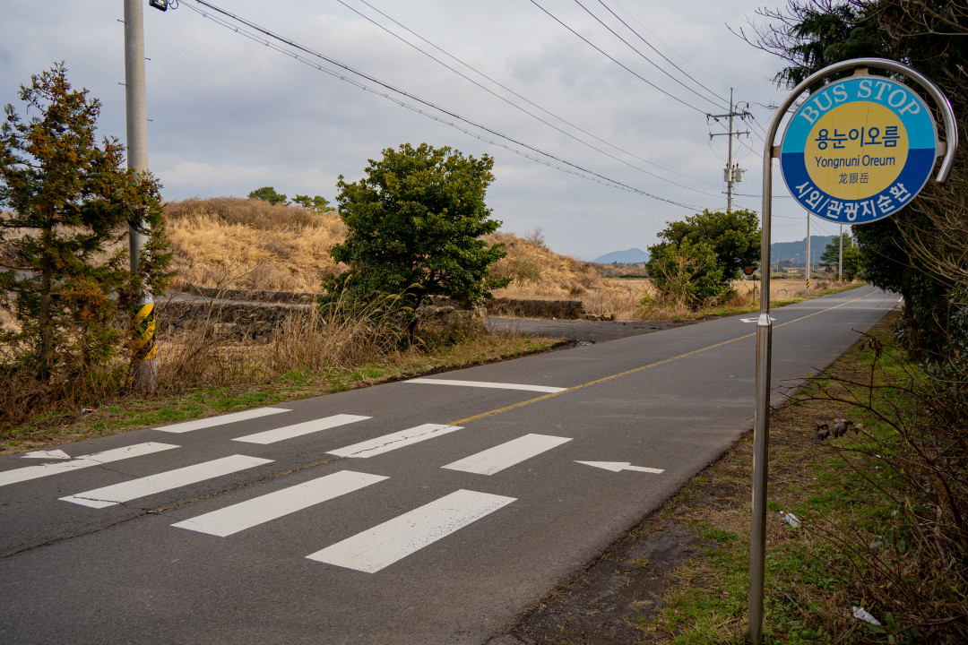 용눈이 오름 가는길