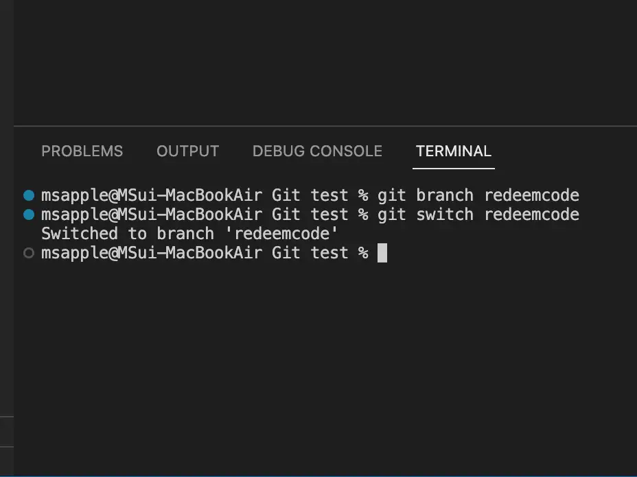 VSCode 터미널 화면