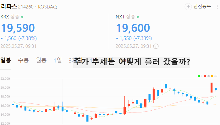 위고비 관련주 대장주 테마주 TOP5 : 비만치료제
