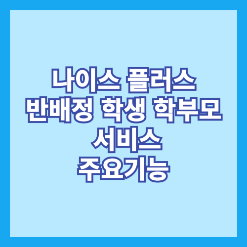 나이스 플러스