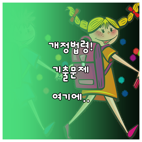 소방안전관리자 시험 대비 최신 개정 ..
