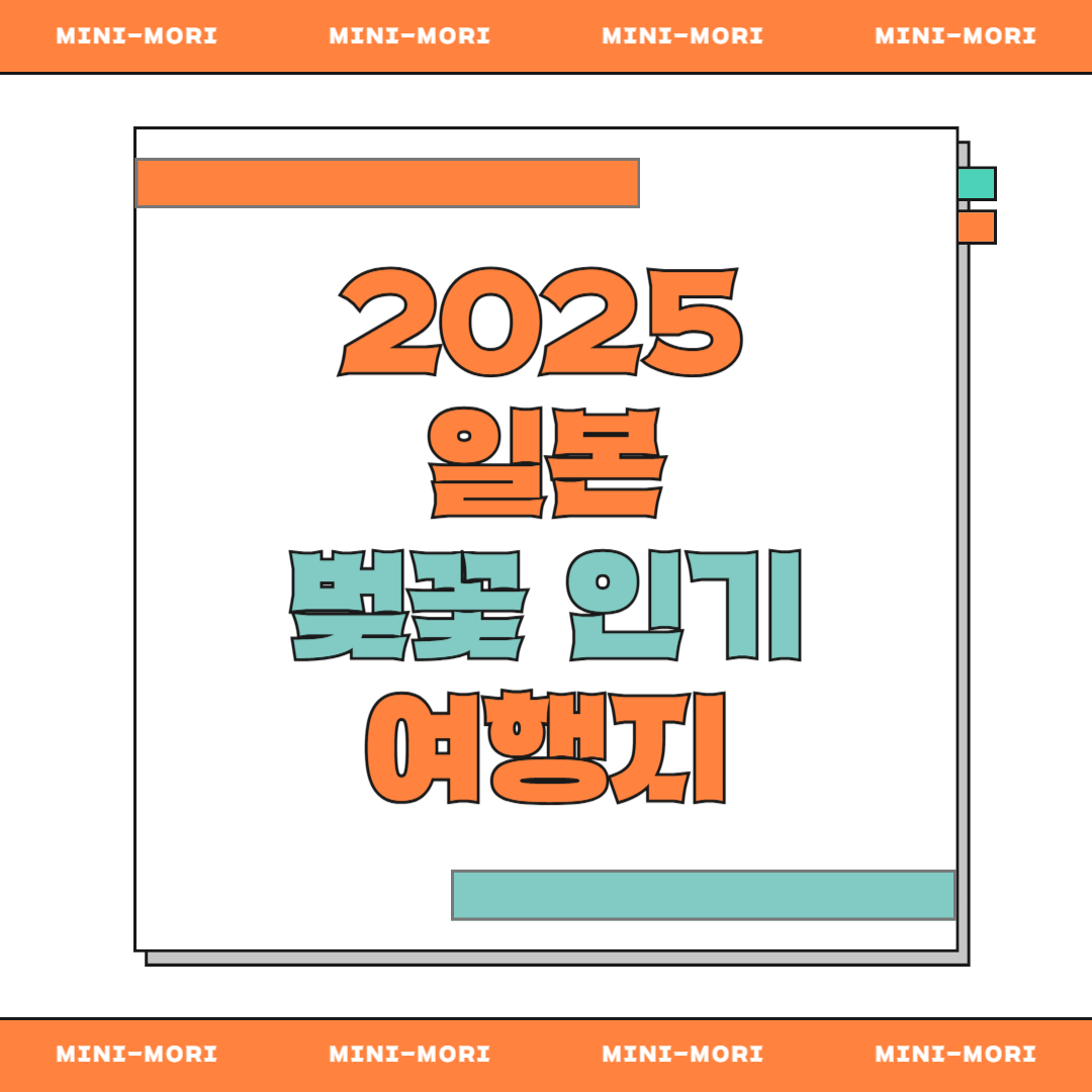 일본 벚꽃 여행