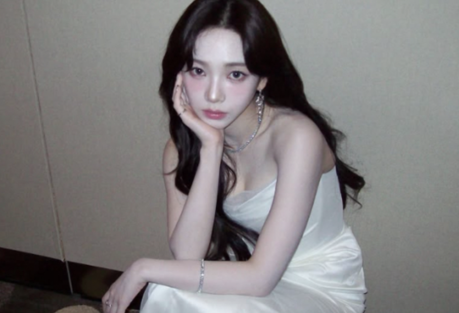 카리나 2번 점퍼 논란&amp;#44; VAQUERA 브랜드 가격과 정치 프레임 논쟁 총정리