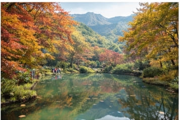 화담숲 성수기 예약