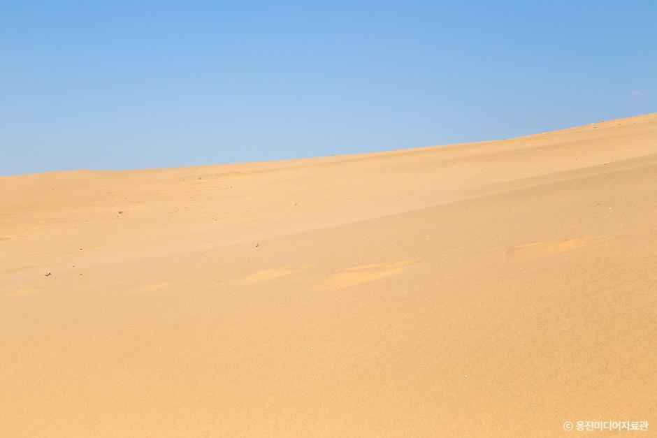 대청도 옥죽동 해안사구의 황금빛 모래언덕. 넓고 부드럽게 펼쳐진 사구 지형이 하늘과 맞닿으며 마치 사막을 연상시키는 이국적인 풍경을 자아낸다.