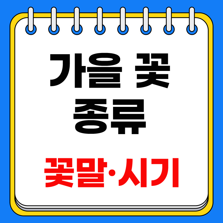 가을꽃 종류