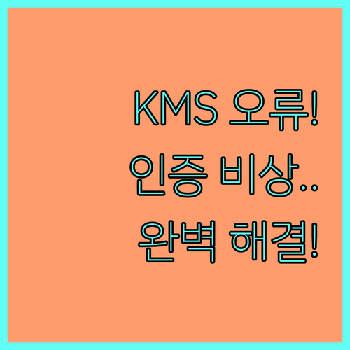 KMS 서버 오류 0x8007007B..