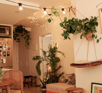 파티룸 창업에 대하여 알아보기