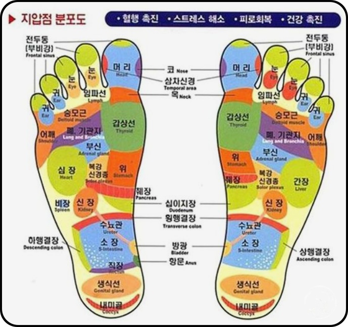 발바닥지압판