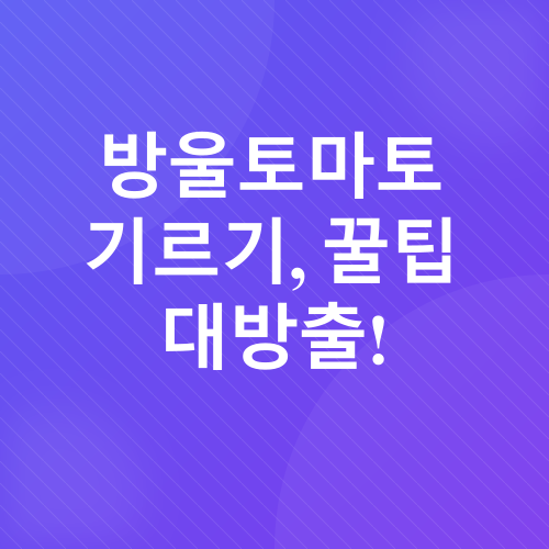 방울토마토 기르기_2