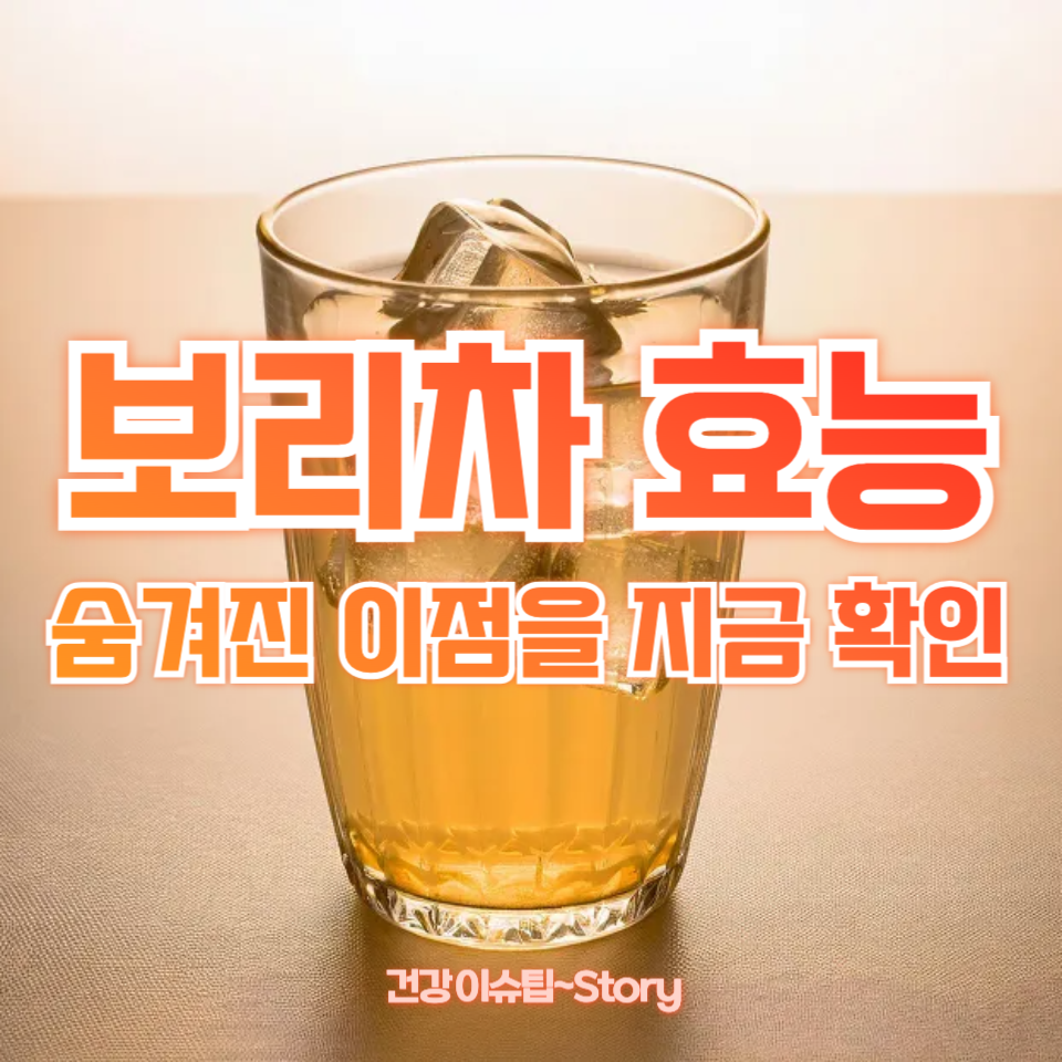 보리차 효능