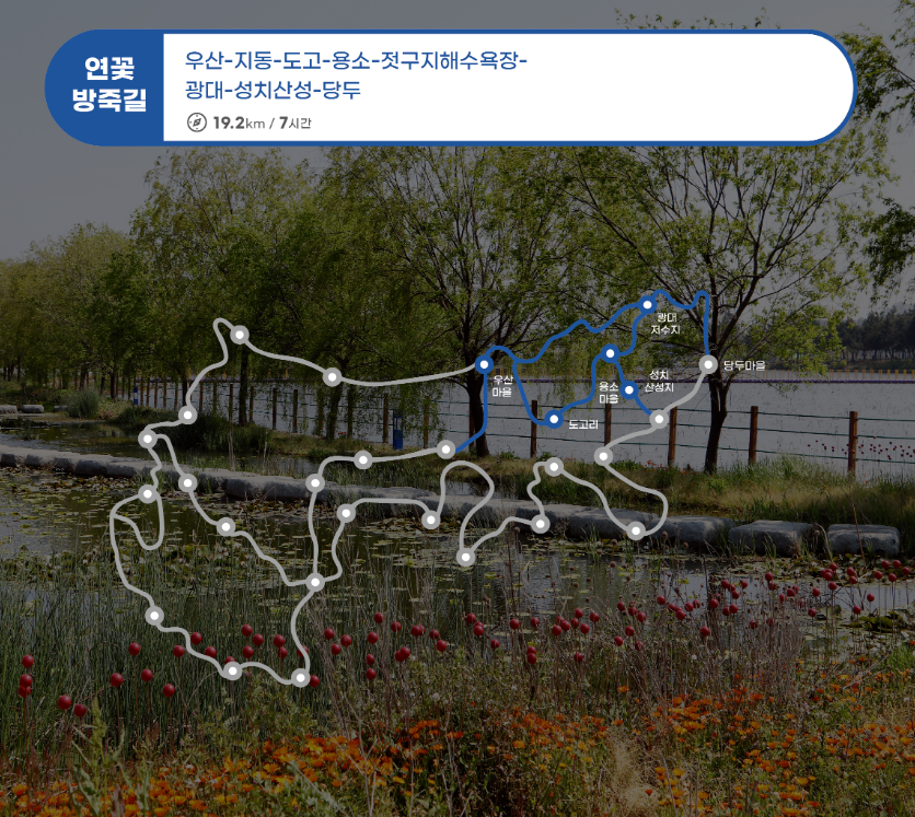 연꽃 방죽길