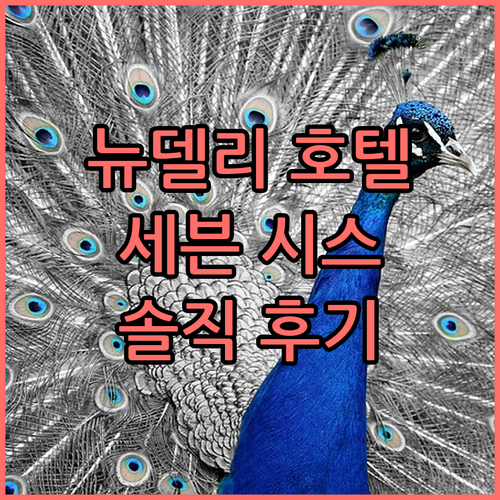 뉴델리 호텔 선택 고민 끝! '세븐