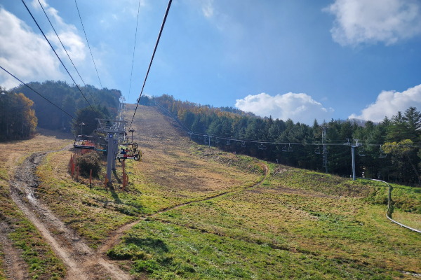 용평리조트 후기