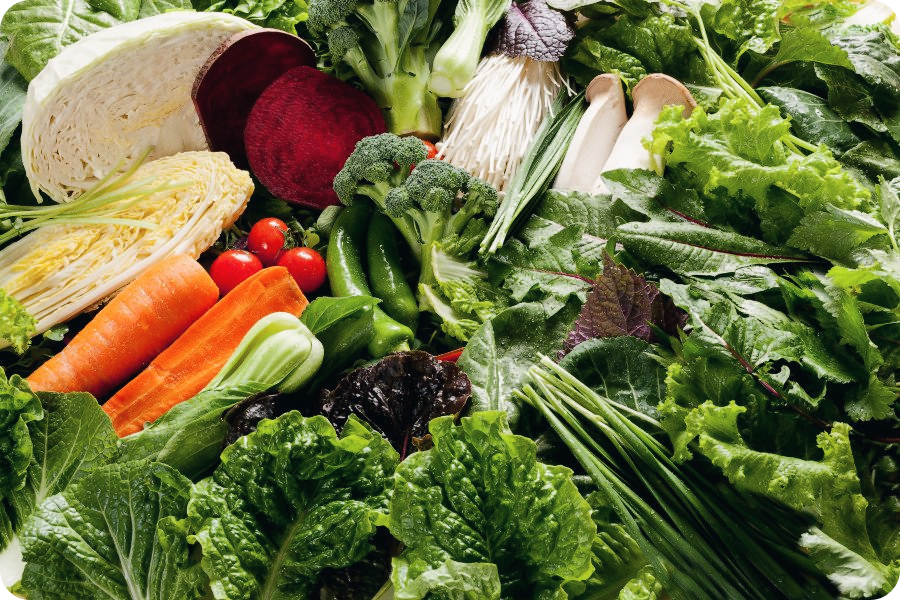 골다공증에-좋은-음식