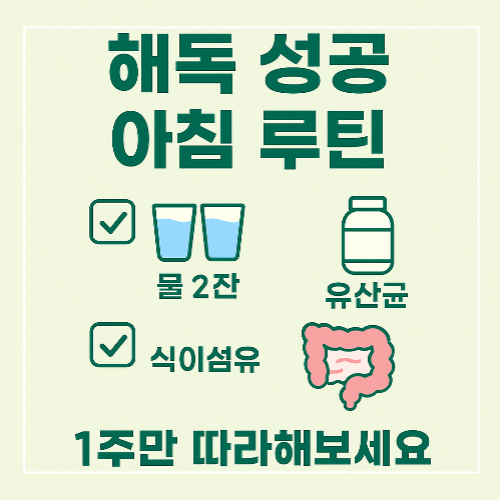 해독 성공 아침 루틴 요약｜공복에 물 2잔, 유산균, 식이섬유로 시작하는 1주 디톡스 루틴 썸네일 이미지