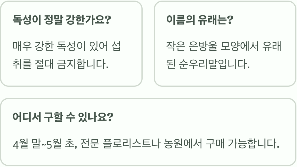 은방울꽃 꽃말과 상징적 의미 총정리