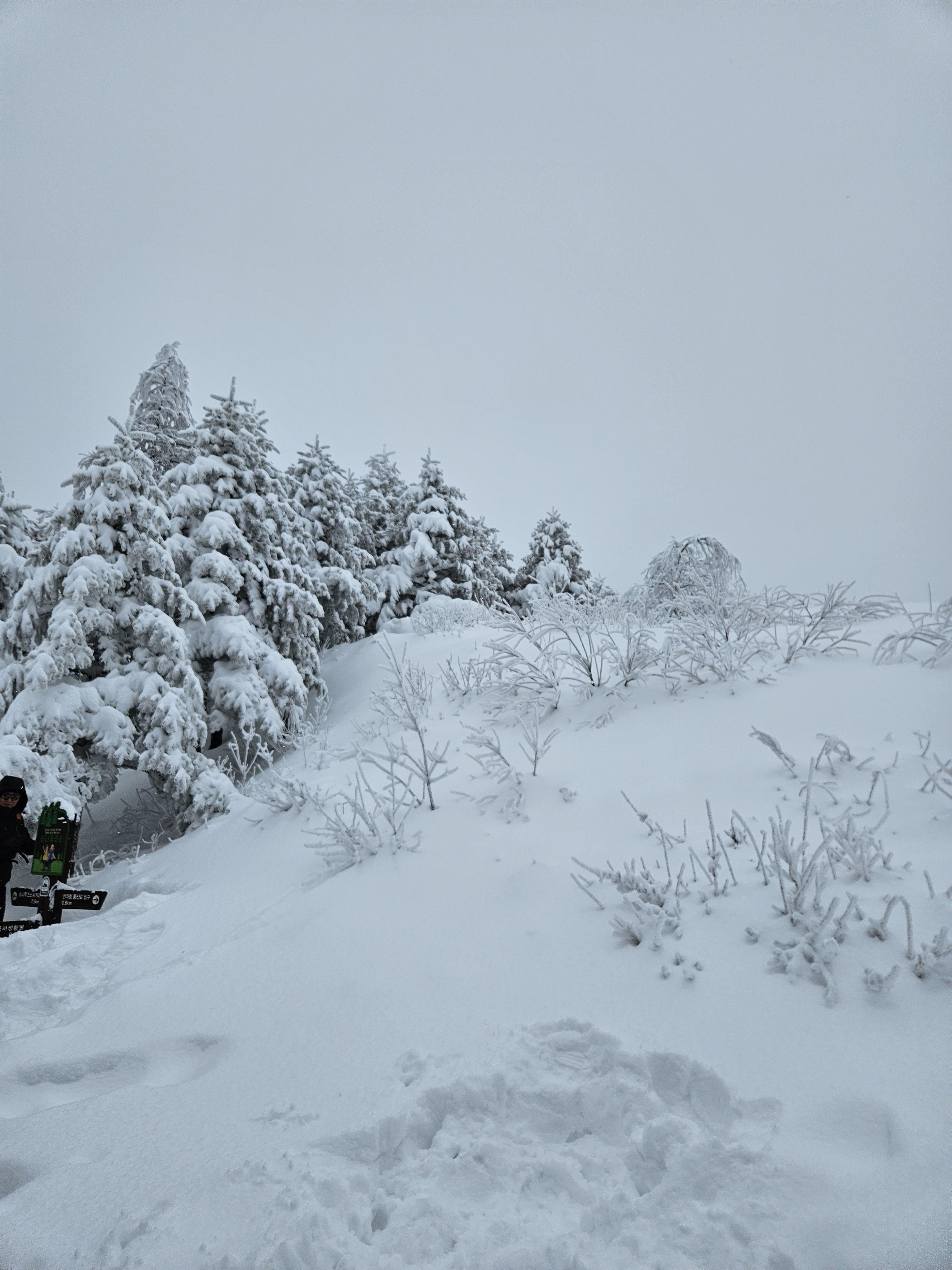 마냥 즐거운 눈산행