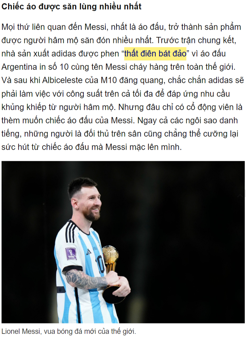 &quot;텃 디엔 밧 다오&quot;을 인용한 기사 캡처 1