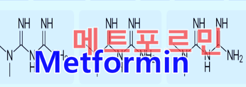 메트포르민(metformin)의 장수 효과