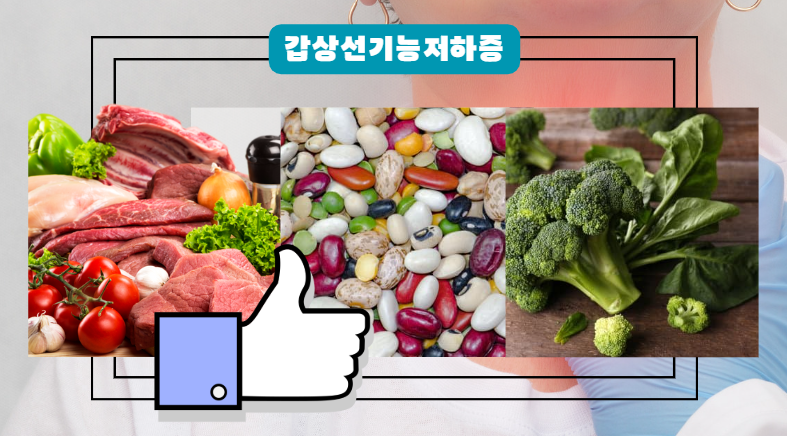 갑상선 기능 저하증 음식