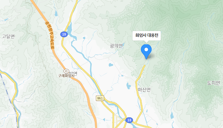 화엄사 홍매화
