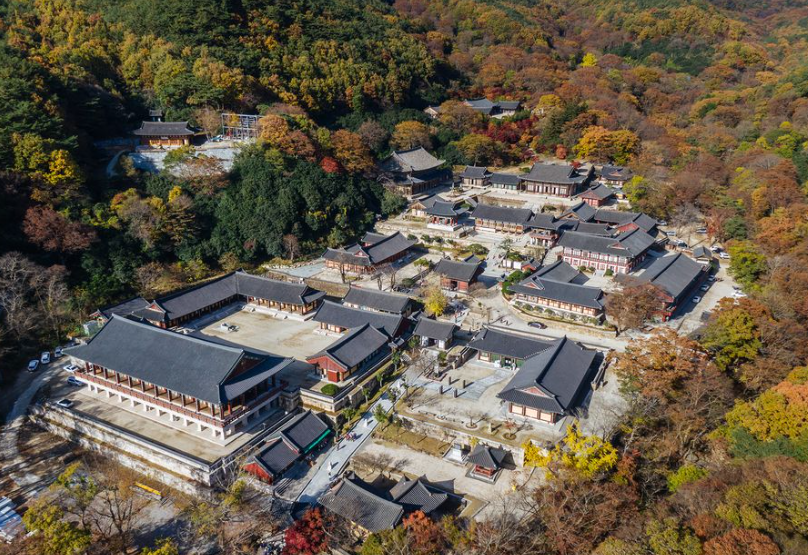 절, 풍경 나무, 기와, 구례 화엄사