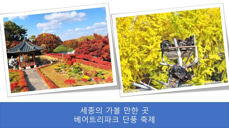 세종의 가볼 만한 곳 베어트리파크 단풍 축제