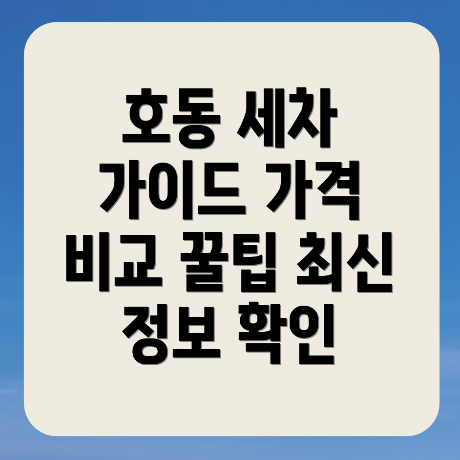 대전 중구 호동 세차장 가격표