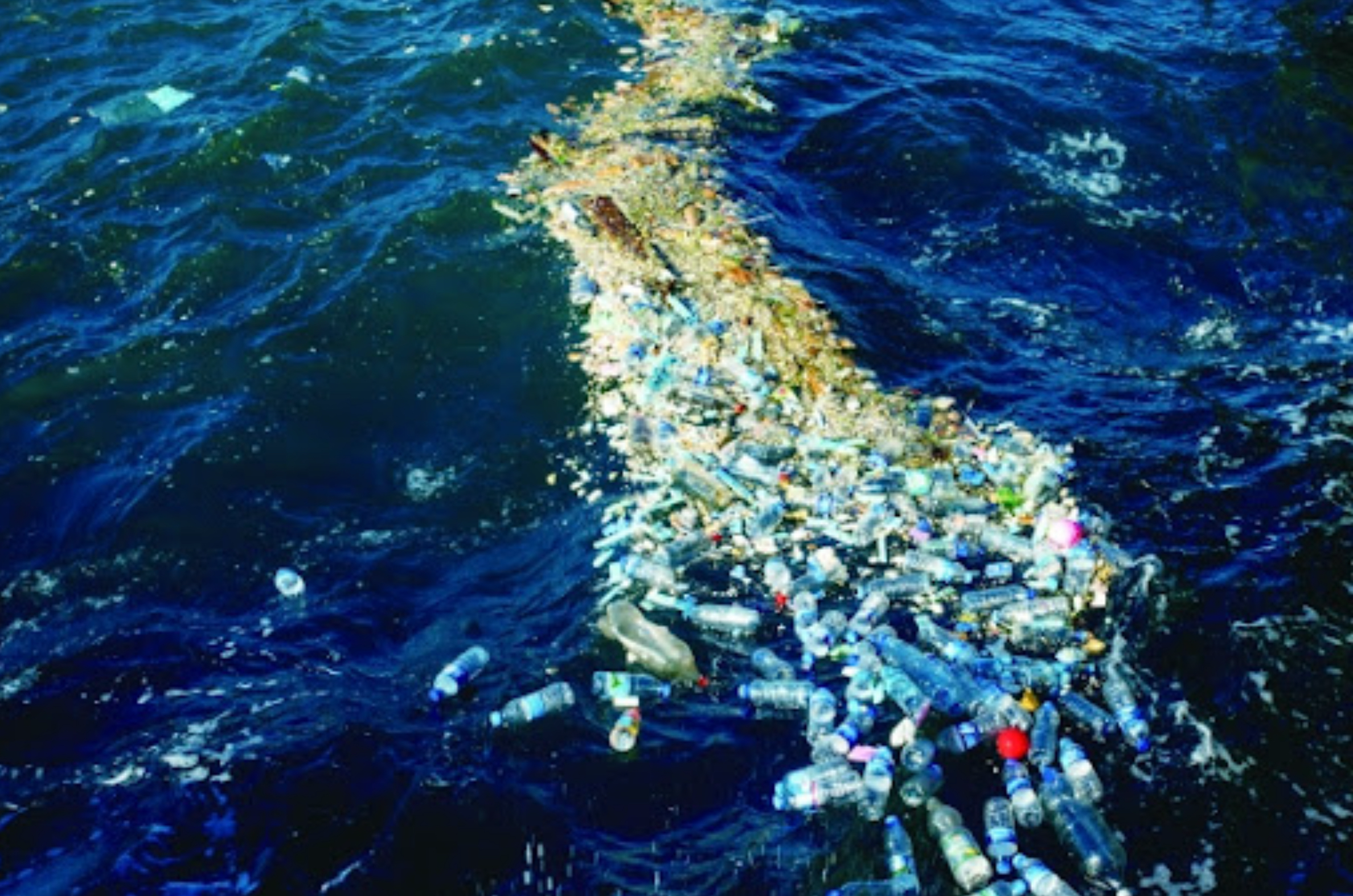 해양 오염 이미지