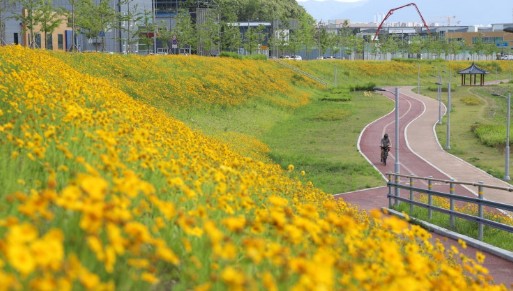 대구의 5월은 꽃구경 하기에 최고입니다.