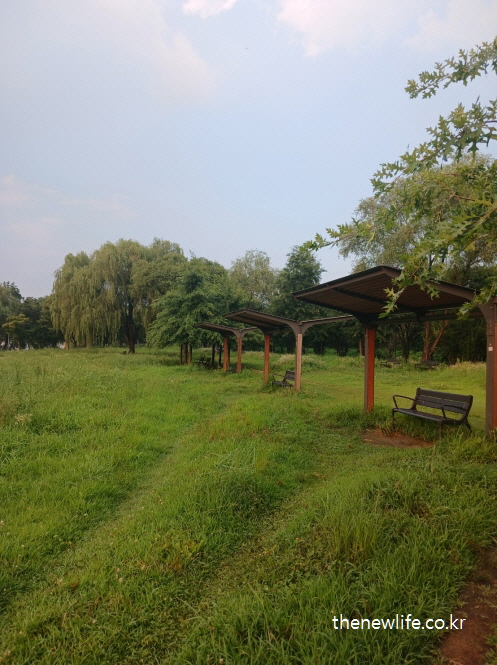 서울 맨발 걷기 좋은 장소 – 암사 생태공원 잔디밭 속 그늘막과 벤치가 조성된 휴식 공간