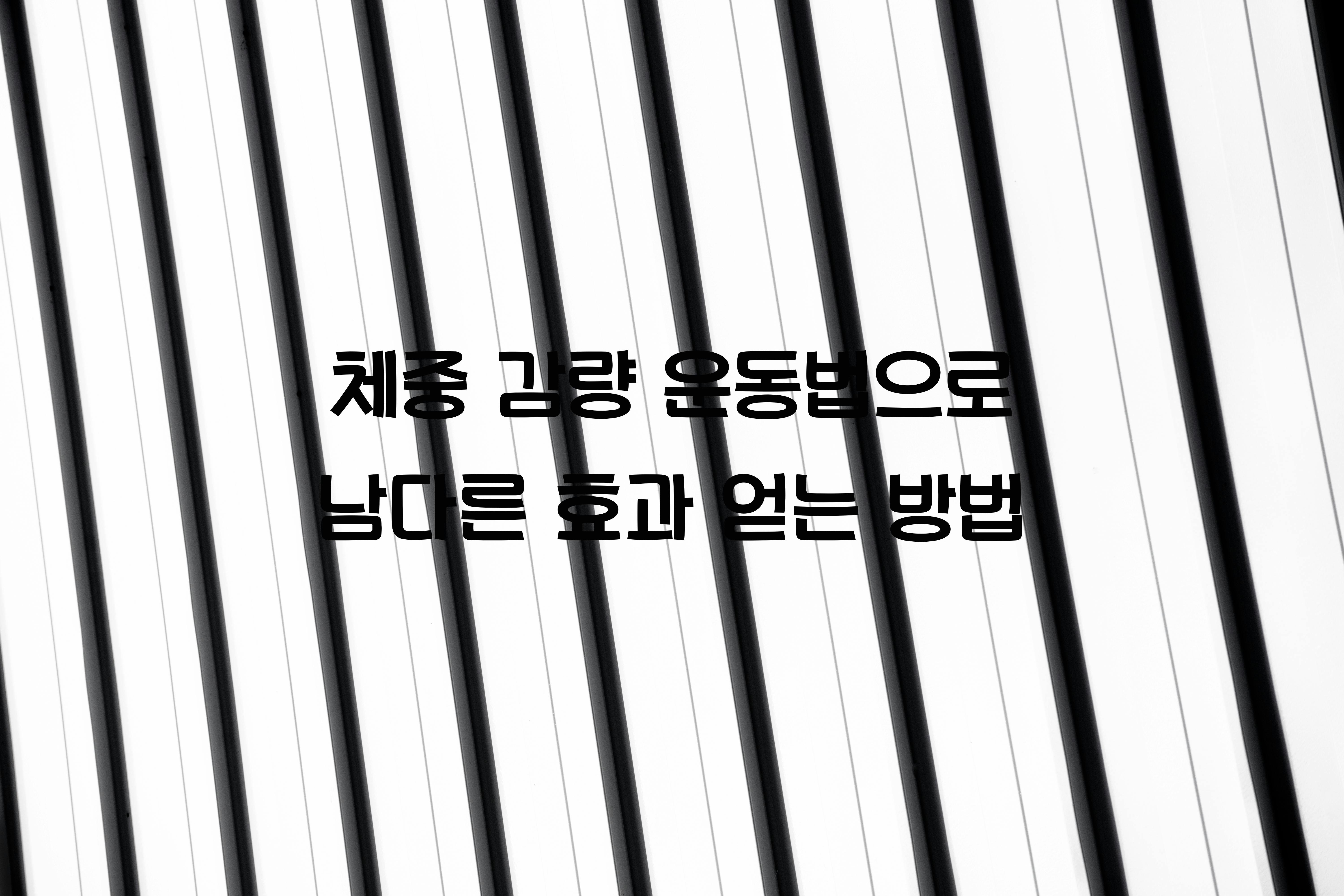 체중 감량 운동법
