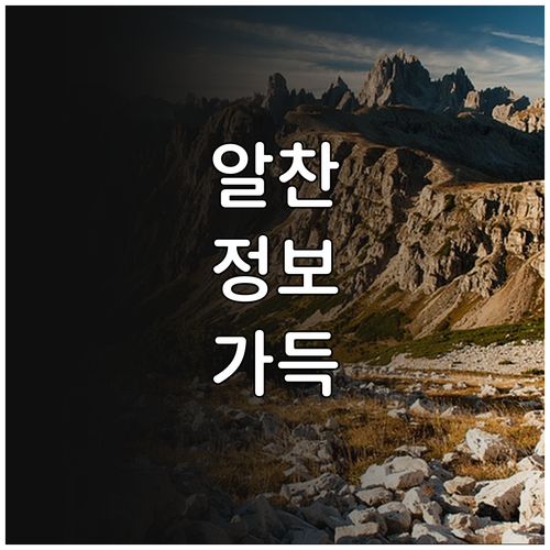 2025 과천 초등 입학축하금! 지역..