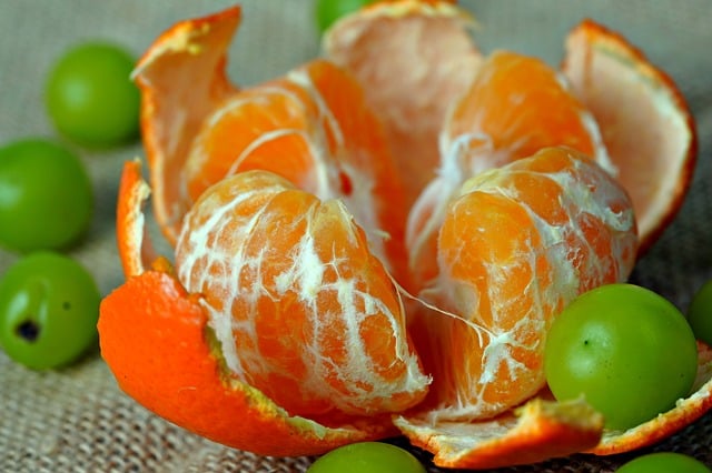 과일껍질 음식물쓰레기