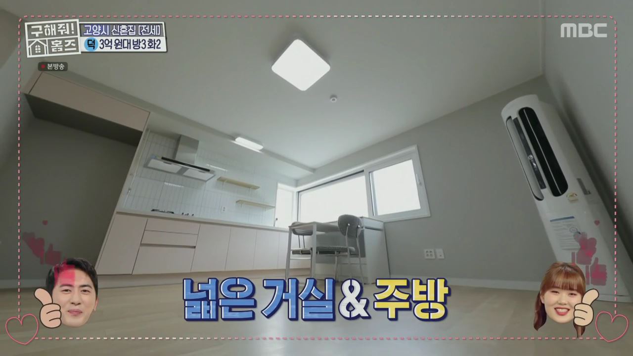 구해줘홈즈 고양시 덕양구 향동동 엄지척 핑크렐라 하우스 매물 가격 및 구조 인테리어 리모델링 최종선택 소개