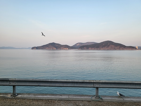 태안 신진도 마야회집-8